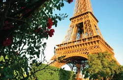 Planning a Vacation: Schengen Countries or Other Destinations?