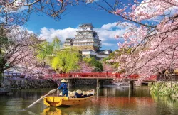 Tranquil Japan: Autumn Getaways Perfect for Introverts