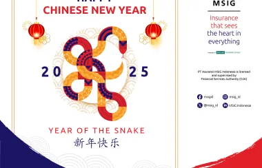 chinese new year tour promotion